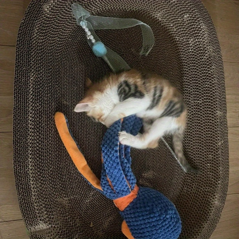 🛏️ Griffoir Confort 2-en-1 pour Chat