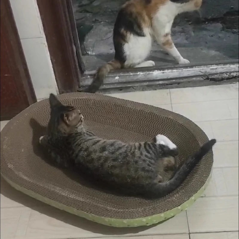 🛏️ Griffoir Confort 2-en-1 pour Chat