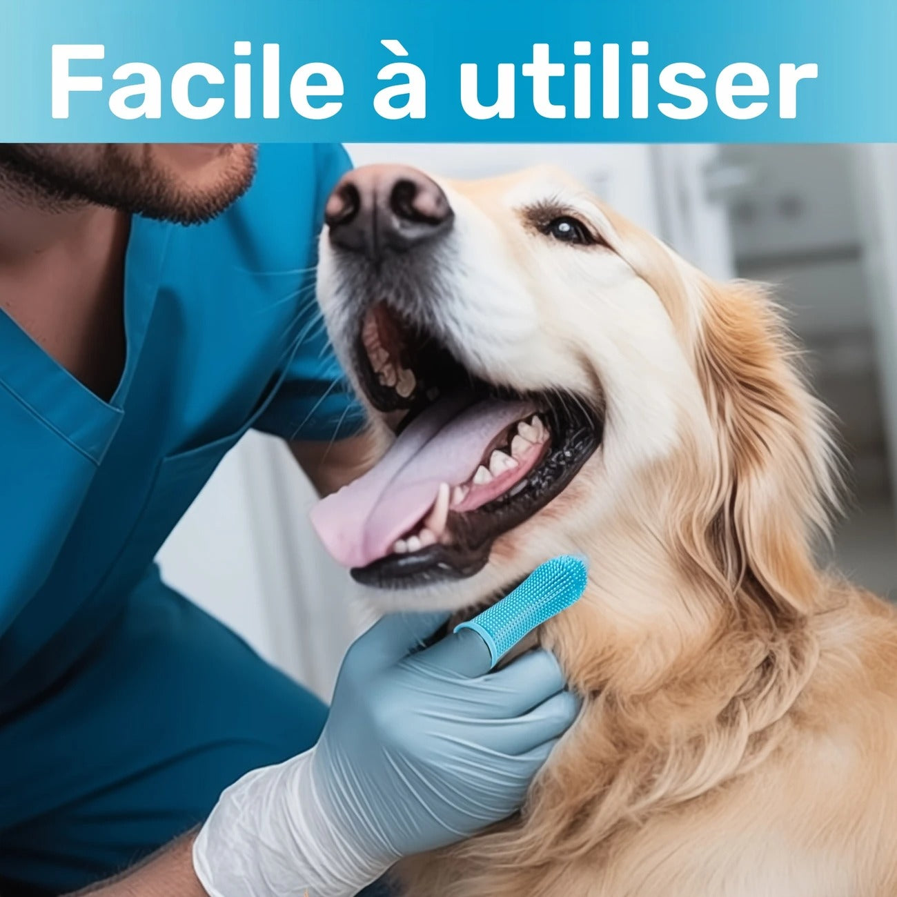 🪥 Brosse à Dents Douce pour Chats & Chiens