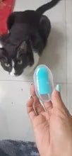🪥 Brosse à Dents Douce pour Chats & Chiens